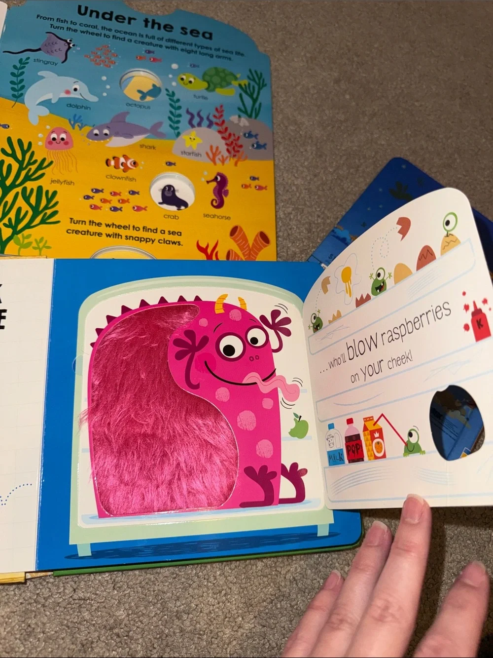 Lift the flap/interactive board books